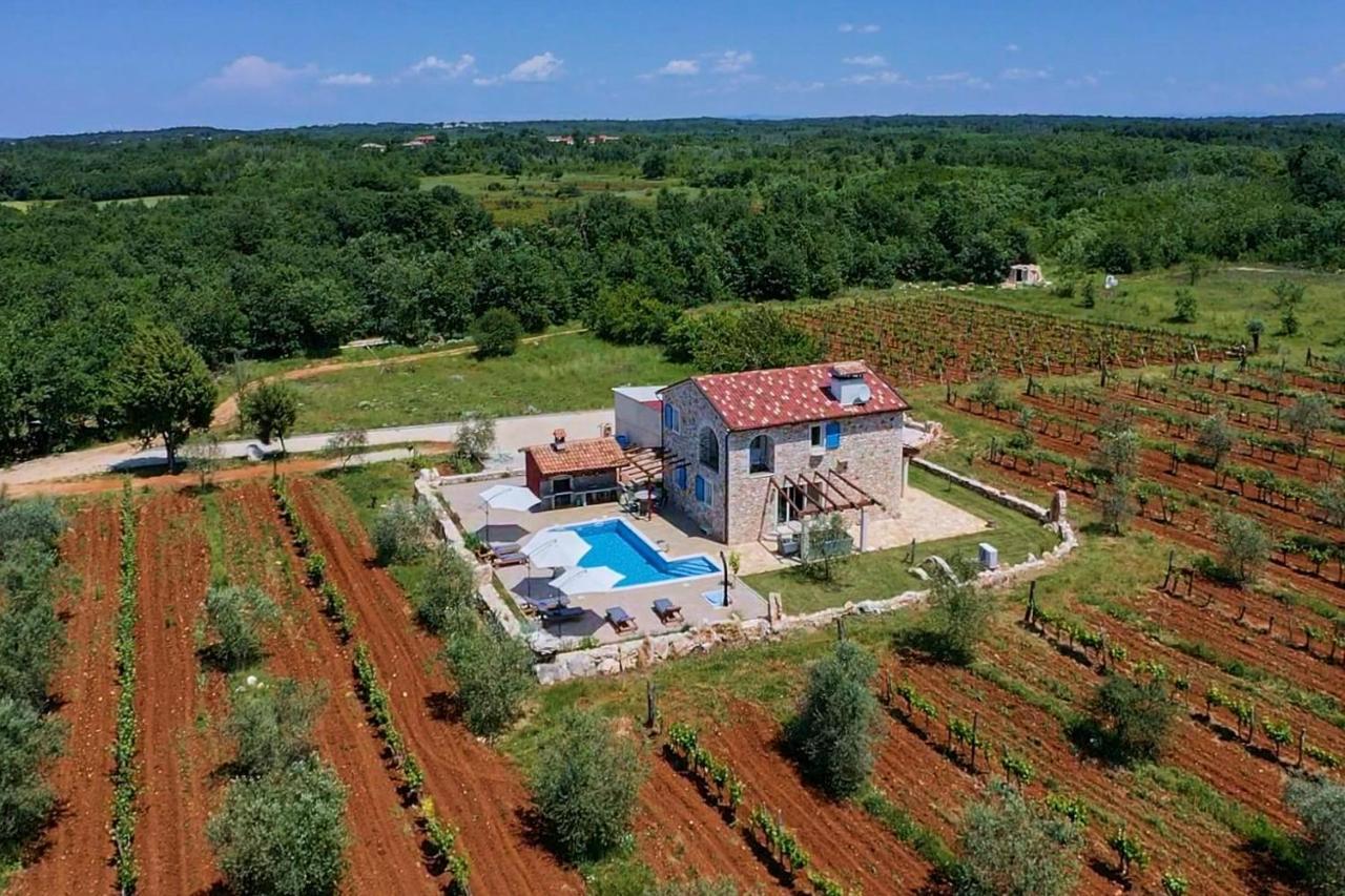 Relax House Surrounded By Olives And Vineyard Villa Stifanići Dış mekan fotoğraf