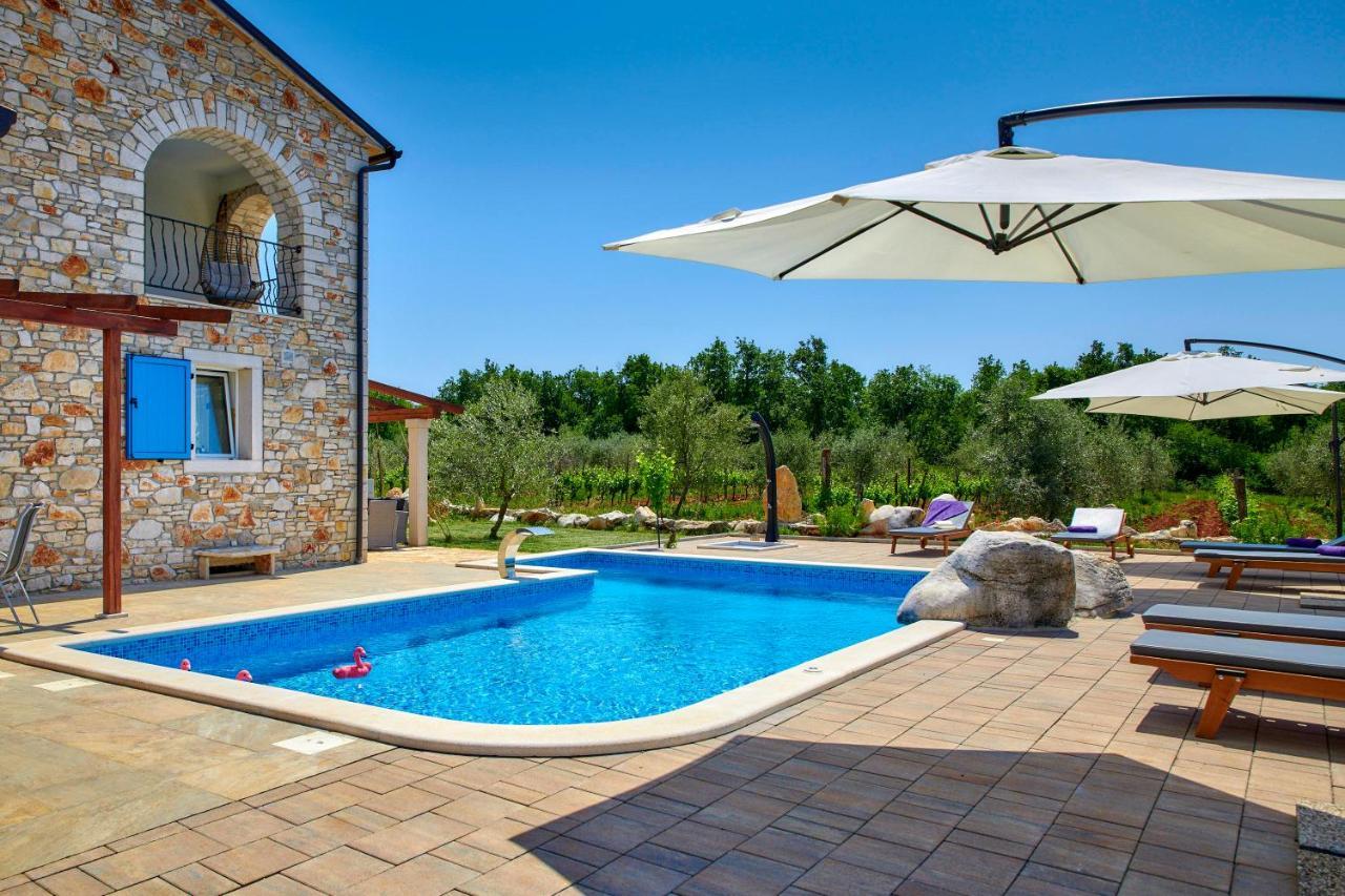 Relax House Surrounded By Olives And Vineyard Villa Stifanići Dış mekan fotoğraf