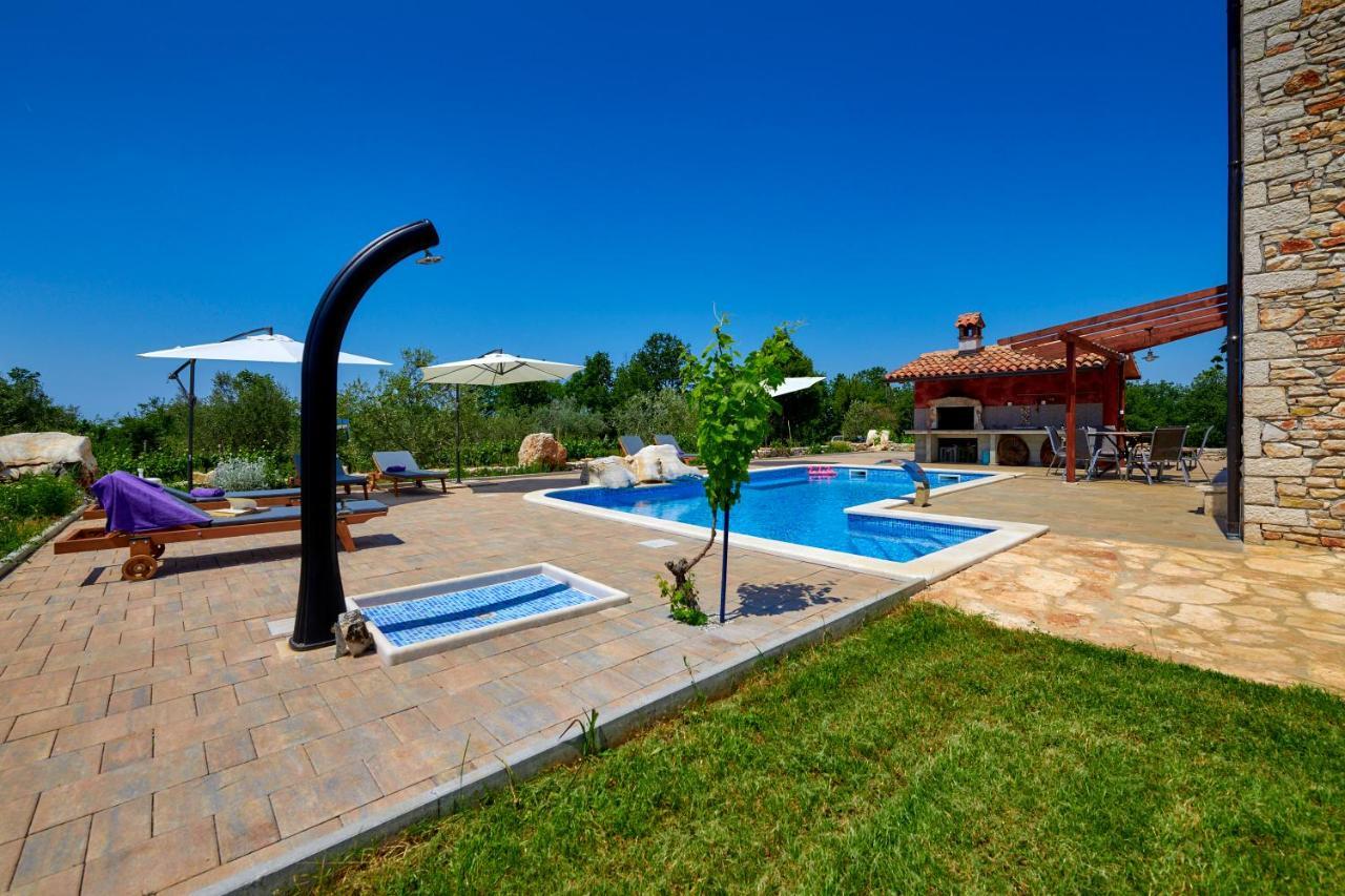 Relax House Surrounded By Olives And Vineyard Villa Stifanići Dış mekan fotoğraf