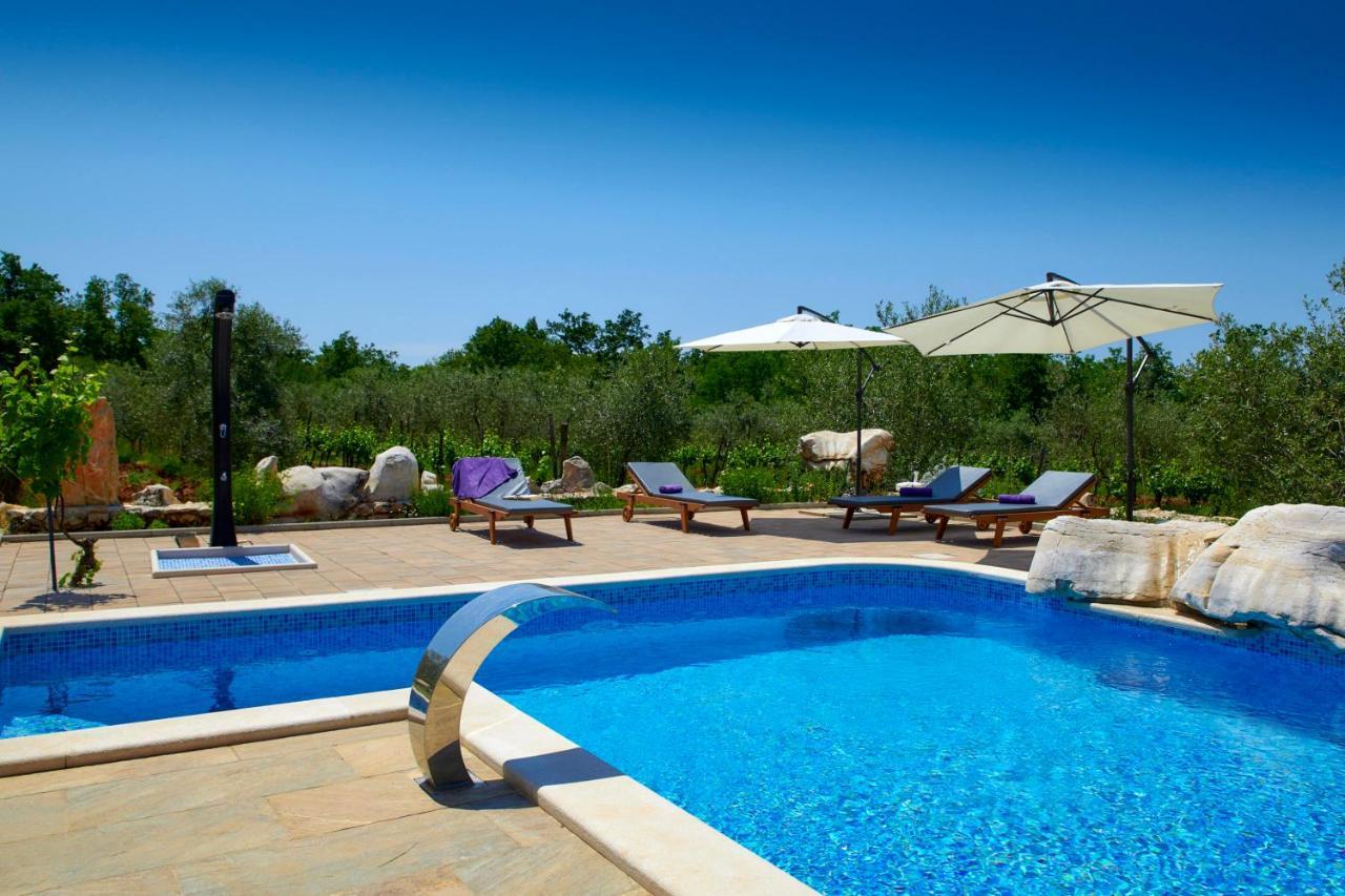 Relax House Surrounded By Olives And Vineyard Villa Stifanići Dış mekan fotoğraf