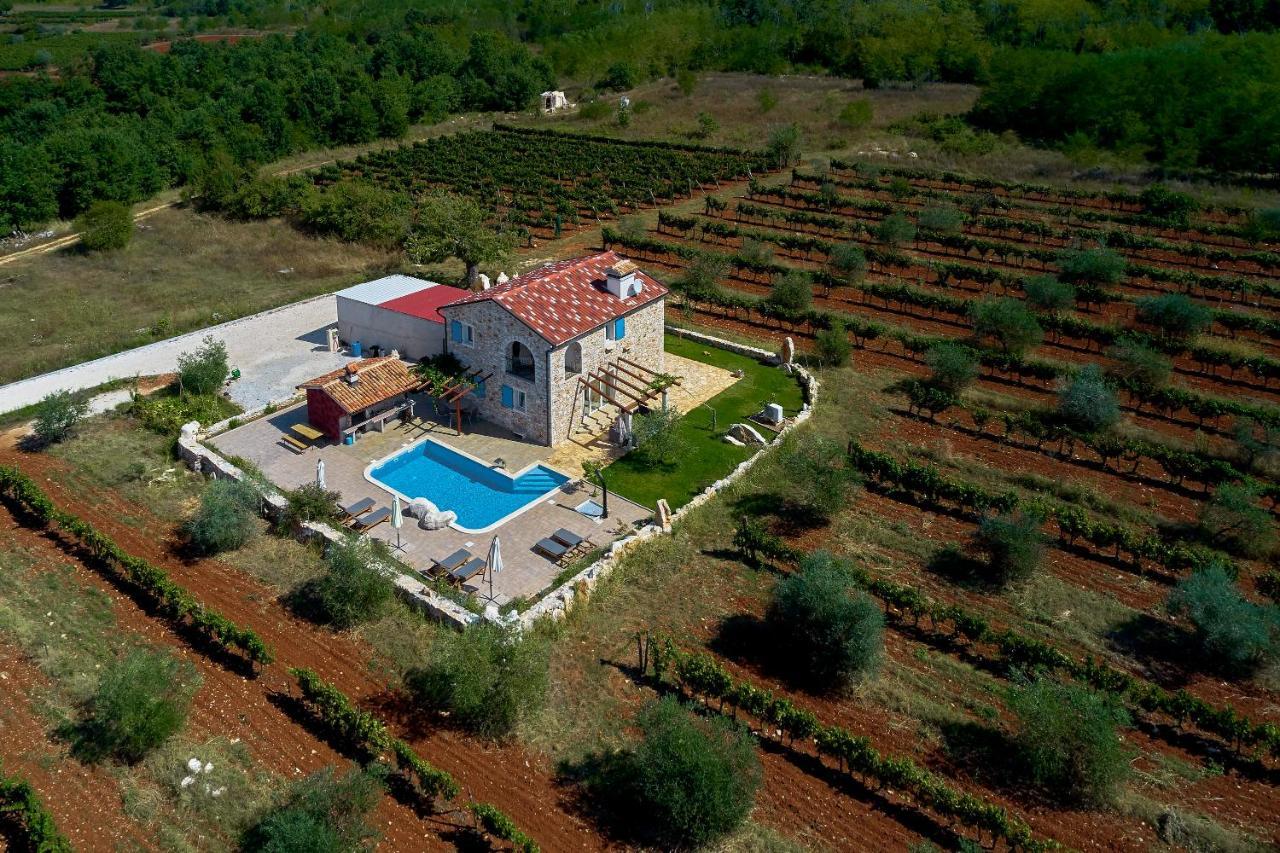 Relax House Surrounded By Olives And Vineyard Villa Stifanići Dış mekan fotoğraf
