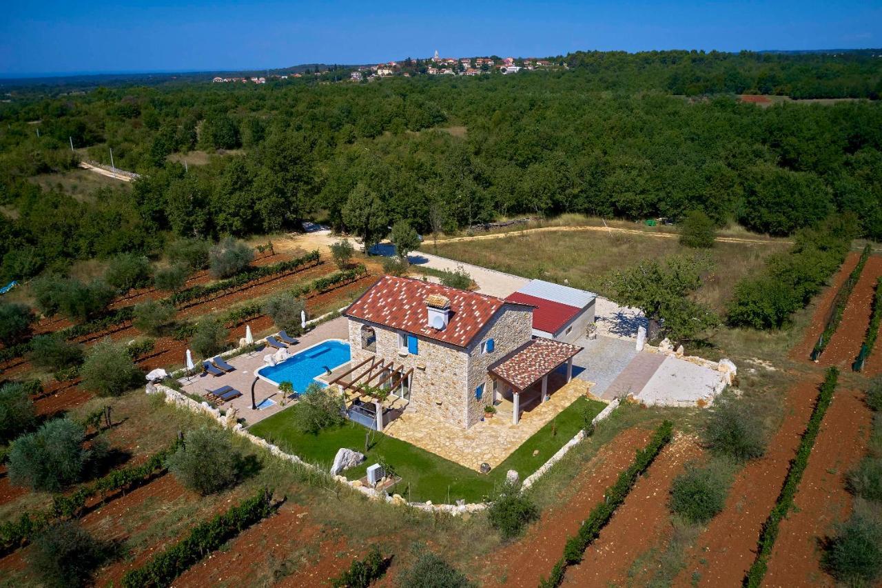 Relax House Surrounded By Olives And Vineyard Villa Stifanići Dış mekan fotoğraf