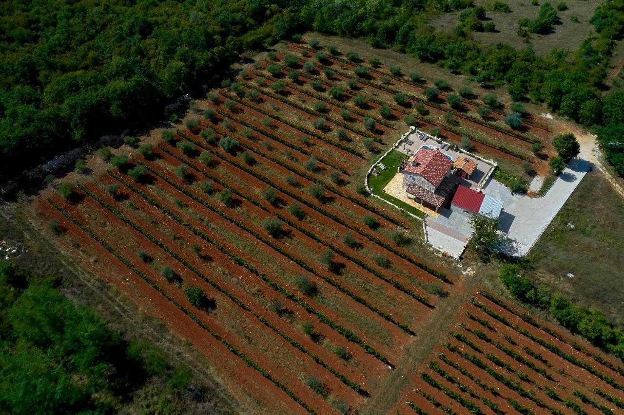 Relax House Surrounded By Olives And Vineyard Villa Stifanići Dış mekan fotoğraf
