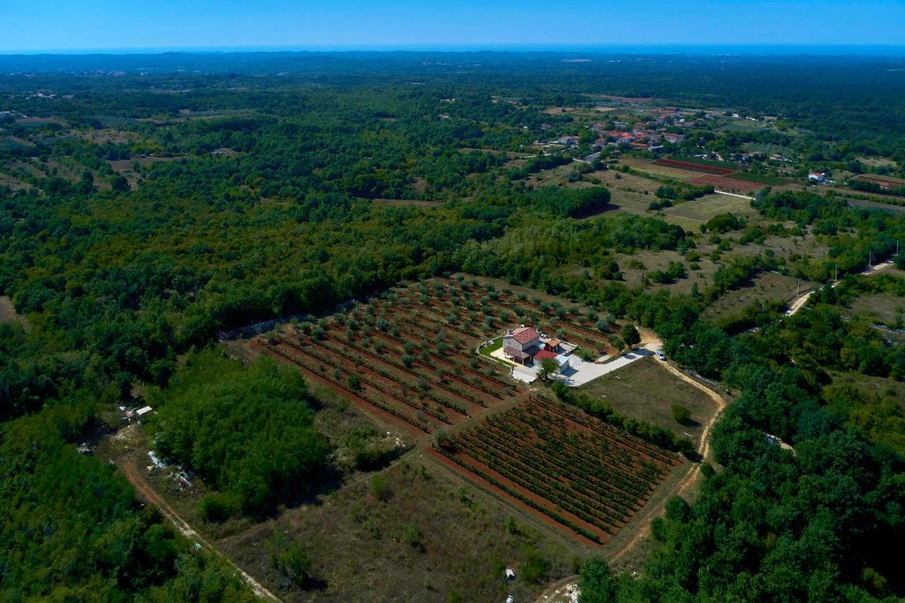 Relax House Surrounded By Olives And Vineyard Villa Stifanići Dış mekan fotoğraf